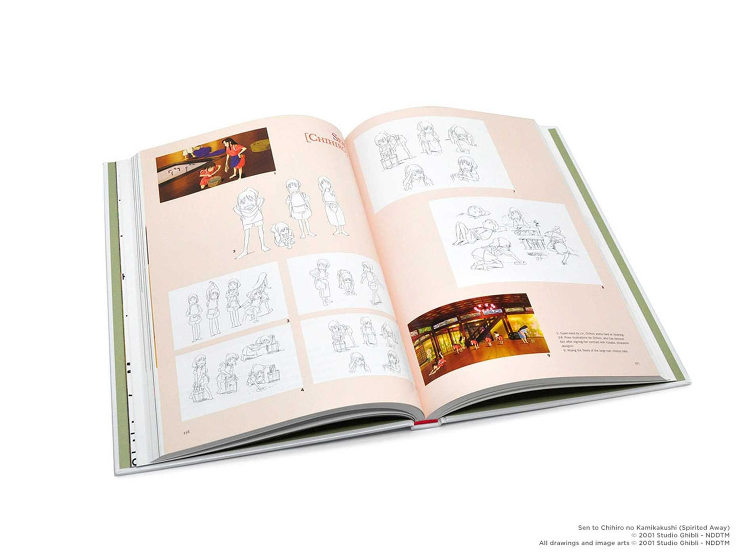 Studio Ghibli Artbooks: (Hardcover)